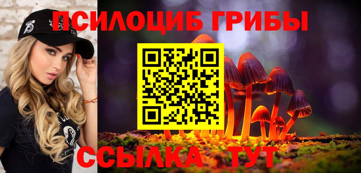 Галлюциногенные грибы Magic Shrooms  Вход с VPN  Железногорск 